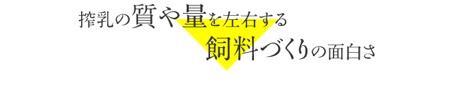 搾乳の質や量を左右する飼料づくりの面白さ