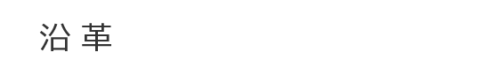 沿革 沿革